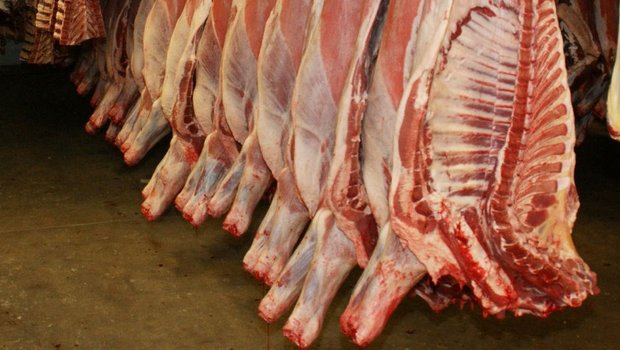 EU-Staaten dürfen das Schächten verbieten Im Jahr 2017 hatte die belgische Region Flandern das Schächten aus Gründen des Tierschutzes untersagt. (Bild ji)