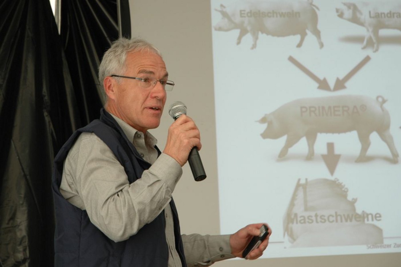 Rund 200 hochwertige Eber kauft Ruedi Gugelmann von den 26 Schweizer Eberzüchtern jährlich für die beiden Suisag-KB-Stationen. (Bild: Armin Emmenegger)