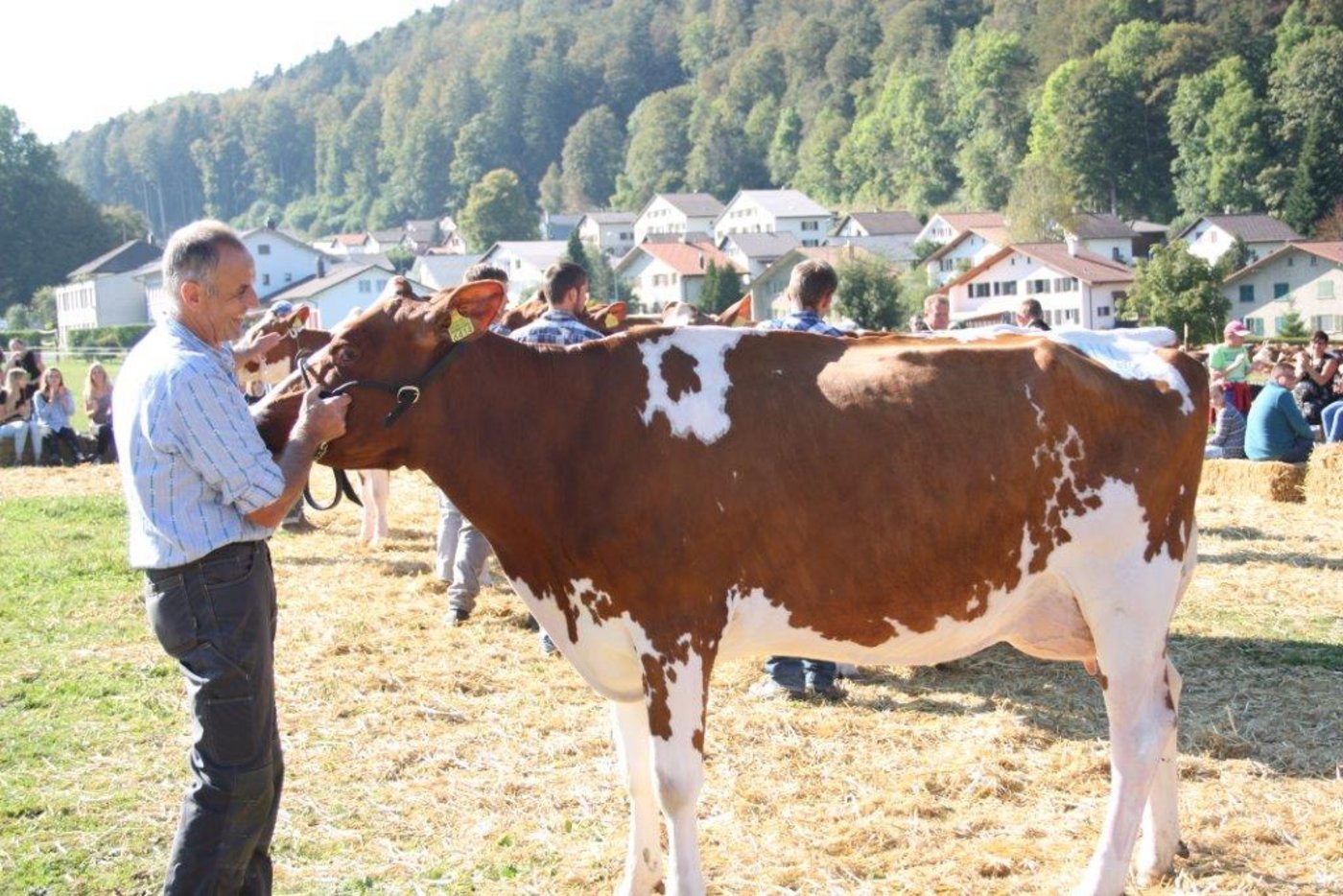 Herbert Amstutz freut sich über den Schöneuter-Titel seiner Savard Ananas. (Bild Andrea Wyss)