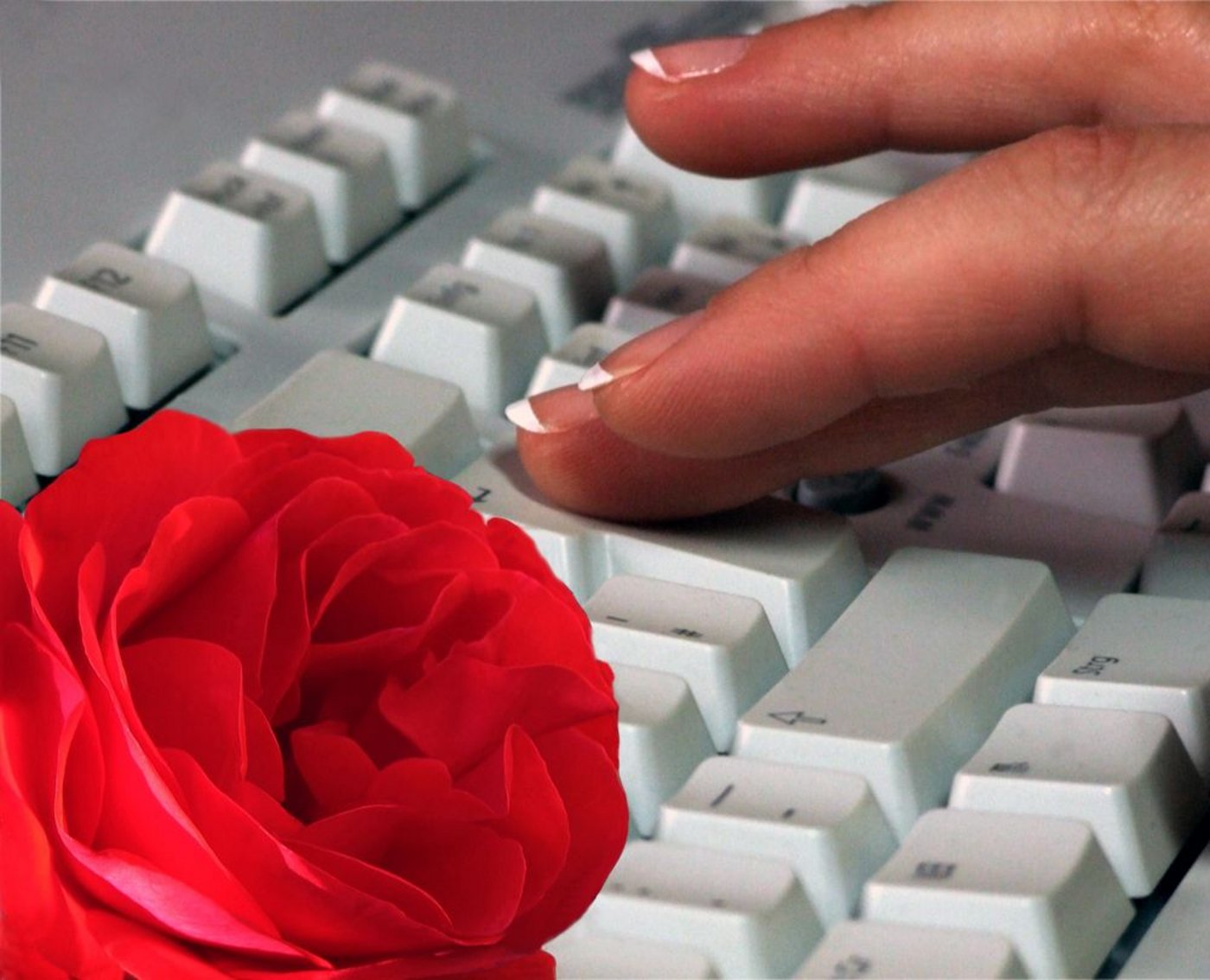 Kennenlernen und flirten auf Online-Plattformen gehört zu unserem Alltag wie Facebook oder Twitter. (Bild Angelsami JouJou / pixelio.de)