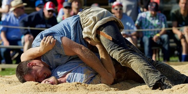 Nicht mehr lange und die Schwinger messen sich wieder im Sägemehl. (Bild Pixabay)