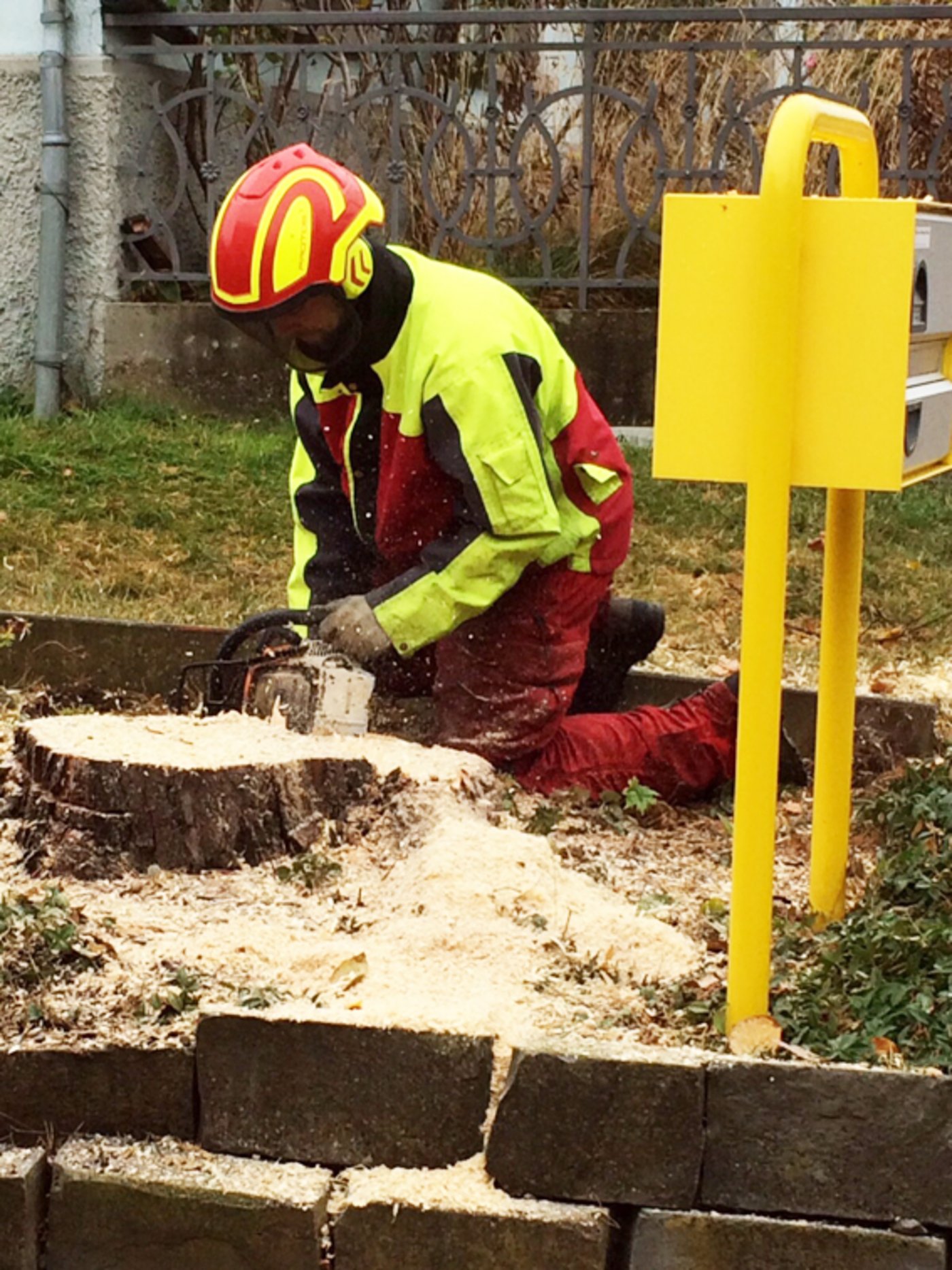 Für Pascal Brändle ist es nicht immer einfach, Feld, Stall und Holzen unter einen Hut zu bringen. 
