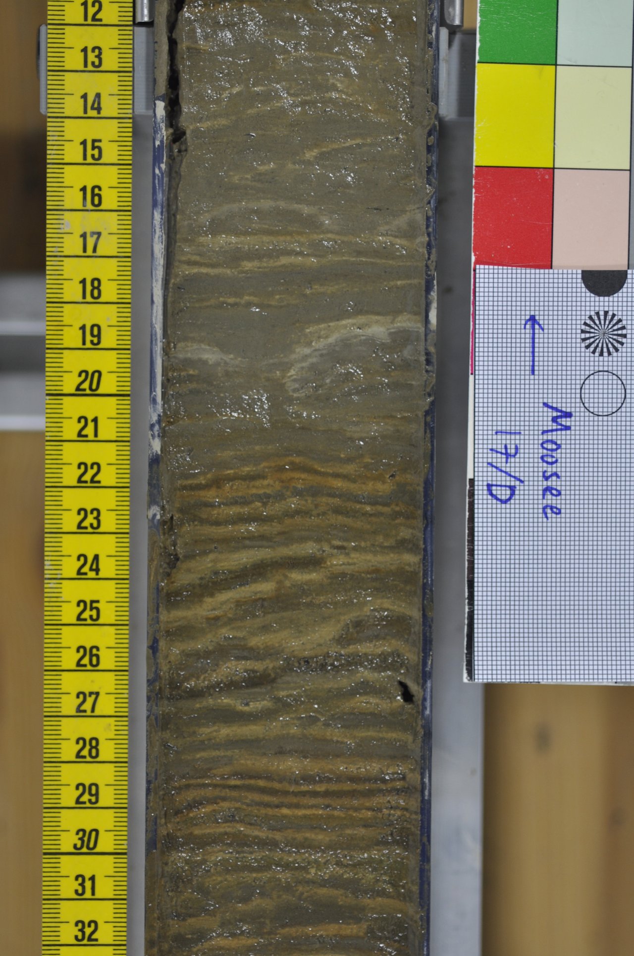 Der aufgeschnittene Sedimentkern zeigt die Schichten, die sich Jahr für Jahr auf dem Boden des Moossees abgelagert haben.