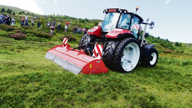 Mulchen ist auf verschiedene Arten möglich: Es gibt Maschinen, welche den Boden schonen und nur unerwünschte Arten schlegeln (Bild links). Nach dem Einsatz des Forstmulchgeräts (rechts) war die ganze Flora weg und der Boden sozusagen planiert.(Bilder Vrena Crameri-Daeppen)