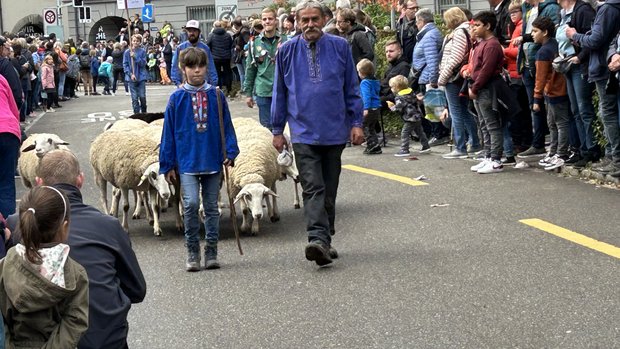 Die Spiegelschafe repräsentieren die rund 45'000 Schafe, die jährlich den Bündner Alpsommer verbringen. (Bild: Daniela Clemenz)