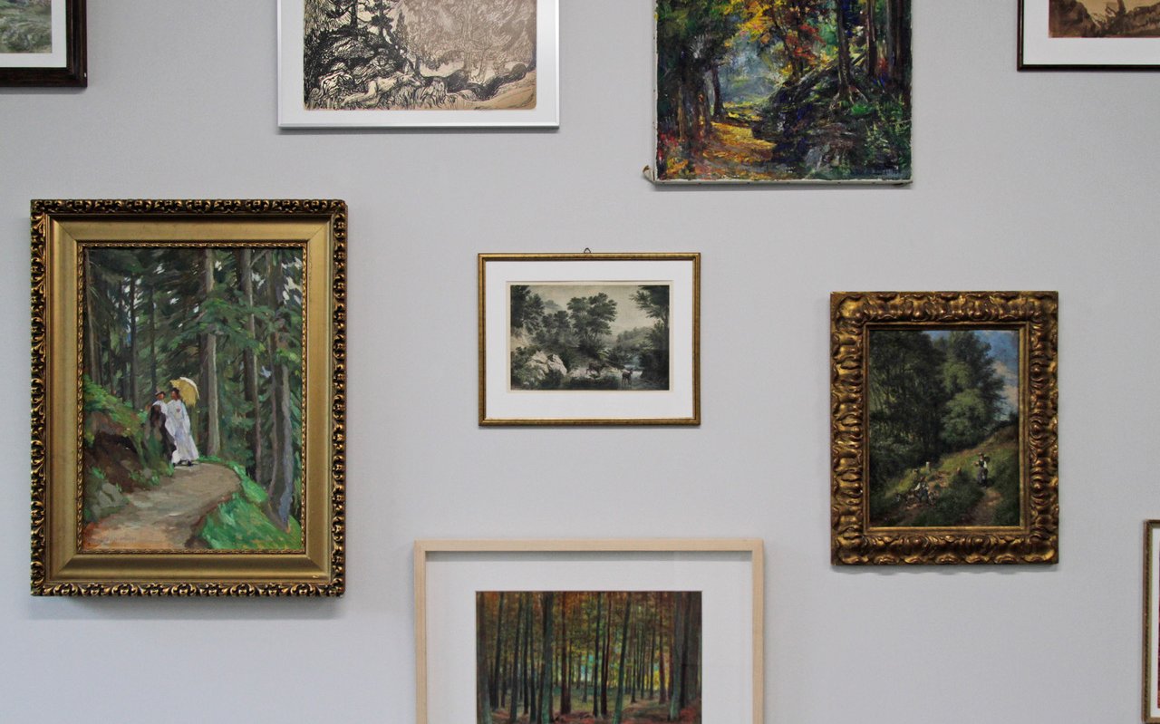 In der Sala Capauliana kann ein historischer Querschnitt der Darstellung des Waldes betrachtet werden.