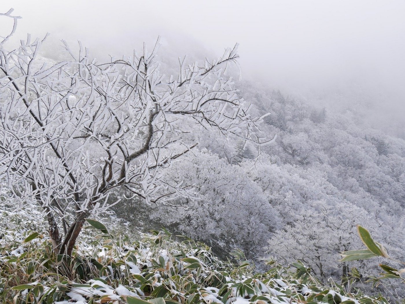 Es stehen kalte Tage bevor: Das Thermometer dürfte auch am Tag nicht mehr als minus fünf Grad anzeigen. (Bild Pixabay)