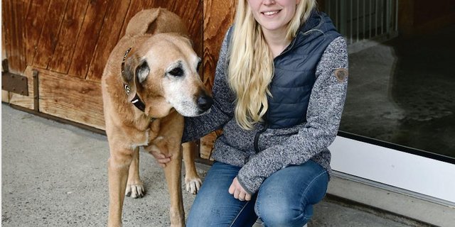 Susanne Gerber-Zwygart mit ihrer Hündin India. Die Bäuerin hat in ihrer Hundepension Platz für weitere 19 Hunde. (Bild Barbara Heiniger)