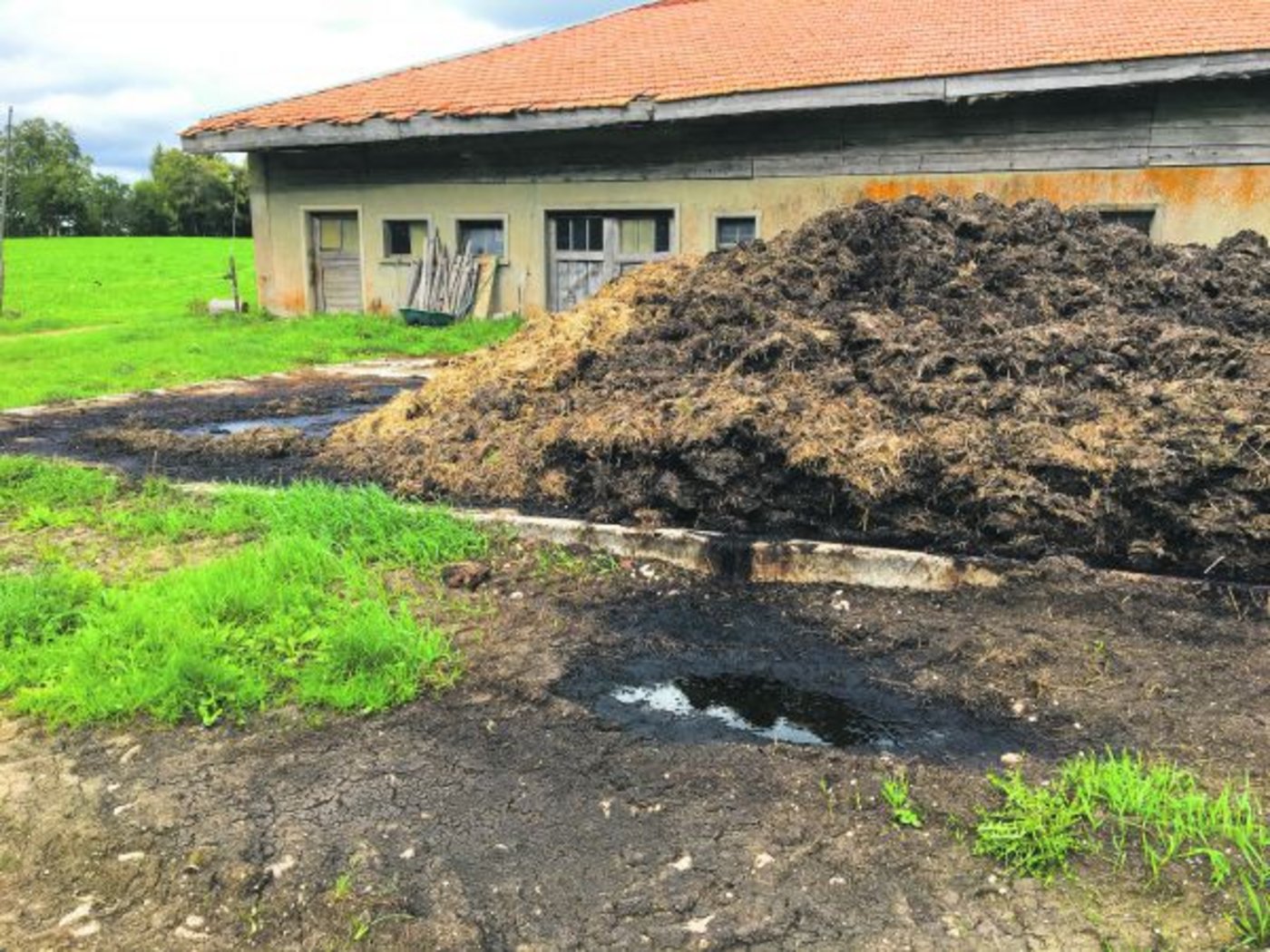 Miststock mit Saftabfluss im Berner Jura. Solche Mängel sollen künftig mit einer Kürzung der Direktzahlungen sanktioniert werden, wenn diese nicht kurzfristig behoben werden. (Bild Josef Scherer)