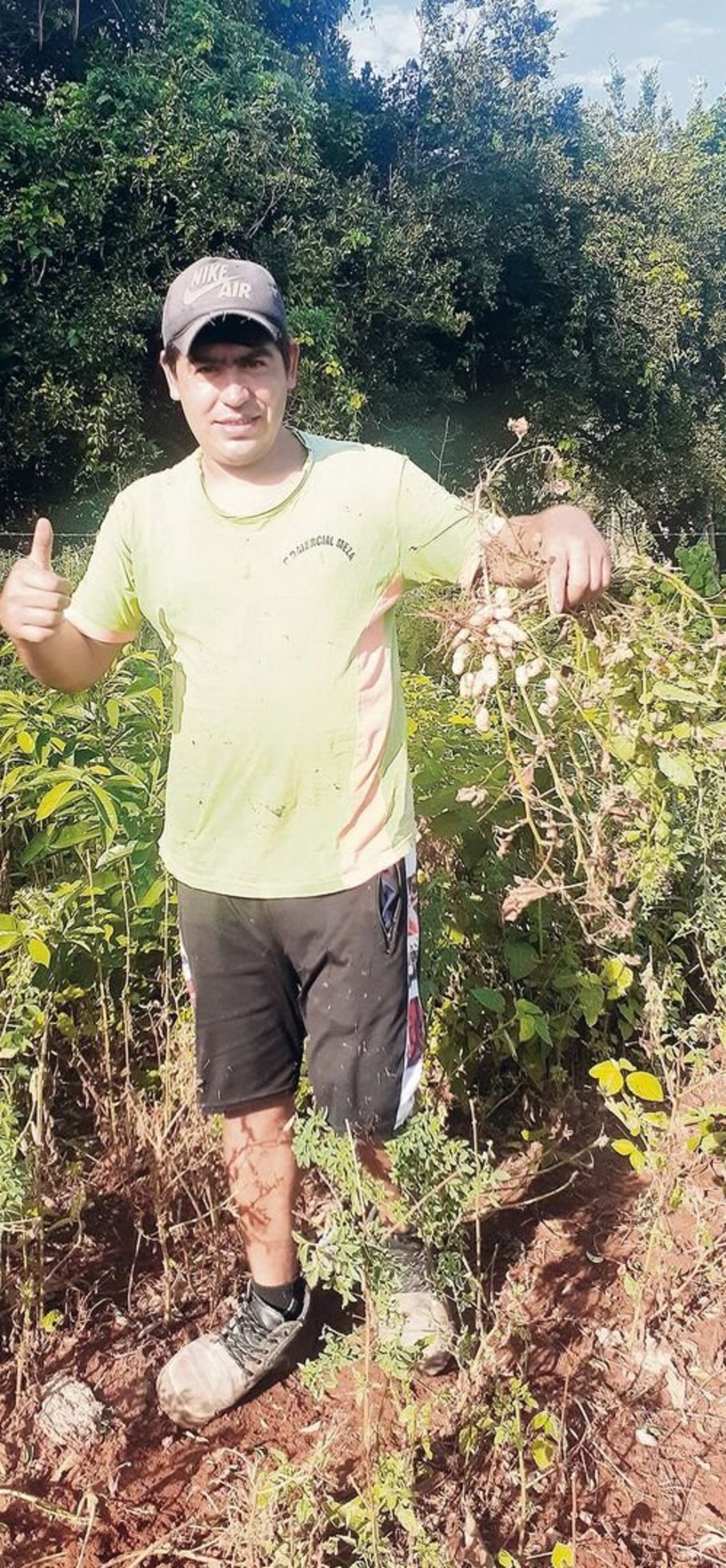 Viktor, die gute Seele des Hofes, bei der Erdnussernte.