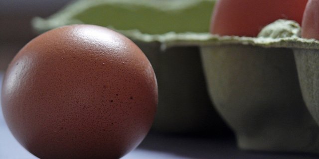 «Terra Natura»-Eier, produziert nach IP-Suisse-Richtlinien und solche von regionalen Freilandbetrieben ergänzen das Lild-Sortiment. (Bild Pixabay)