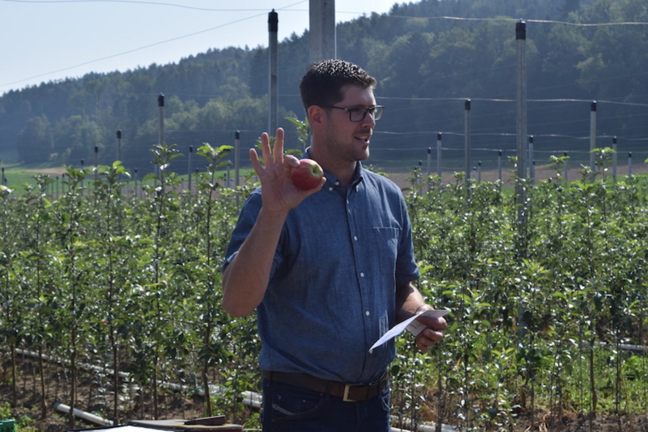 Ralph Gilg, Präsident des Thurgauer Obstverbandes, erklärt, wie ein Apfel aussehen muss, damit er im Laden gekauft wird. (Bilder Stefanie Giger)