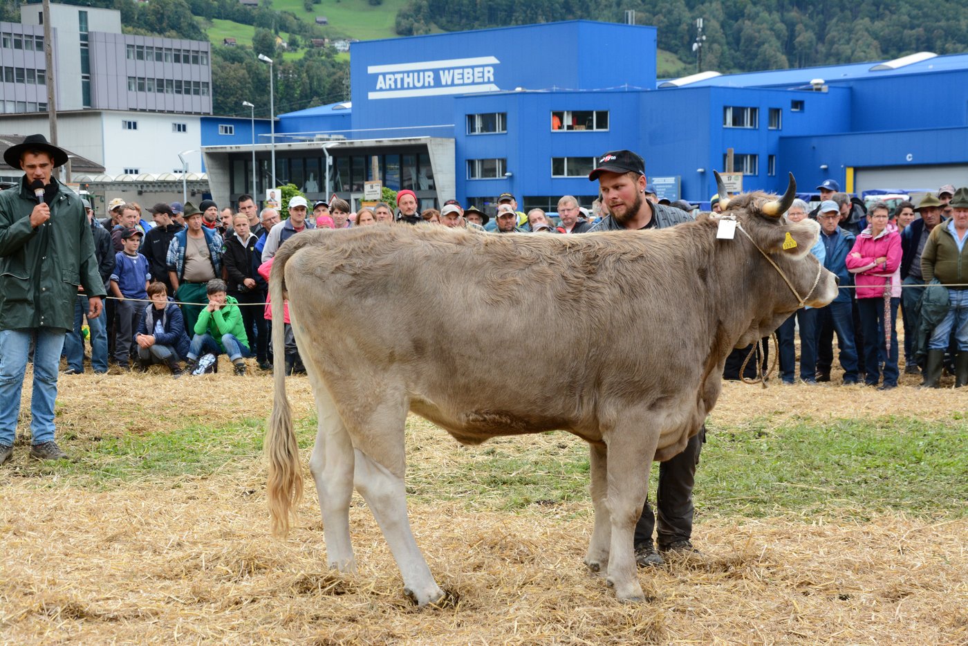 Rinder-Vizechampion OB, Valerius Luna von Josef Kempf, Isenthal.