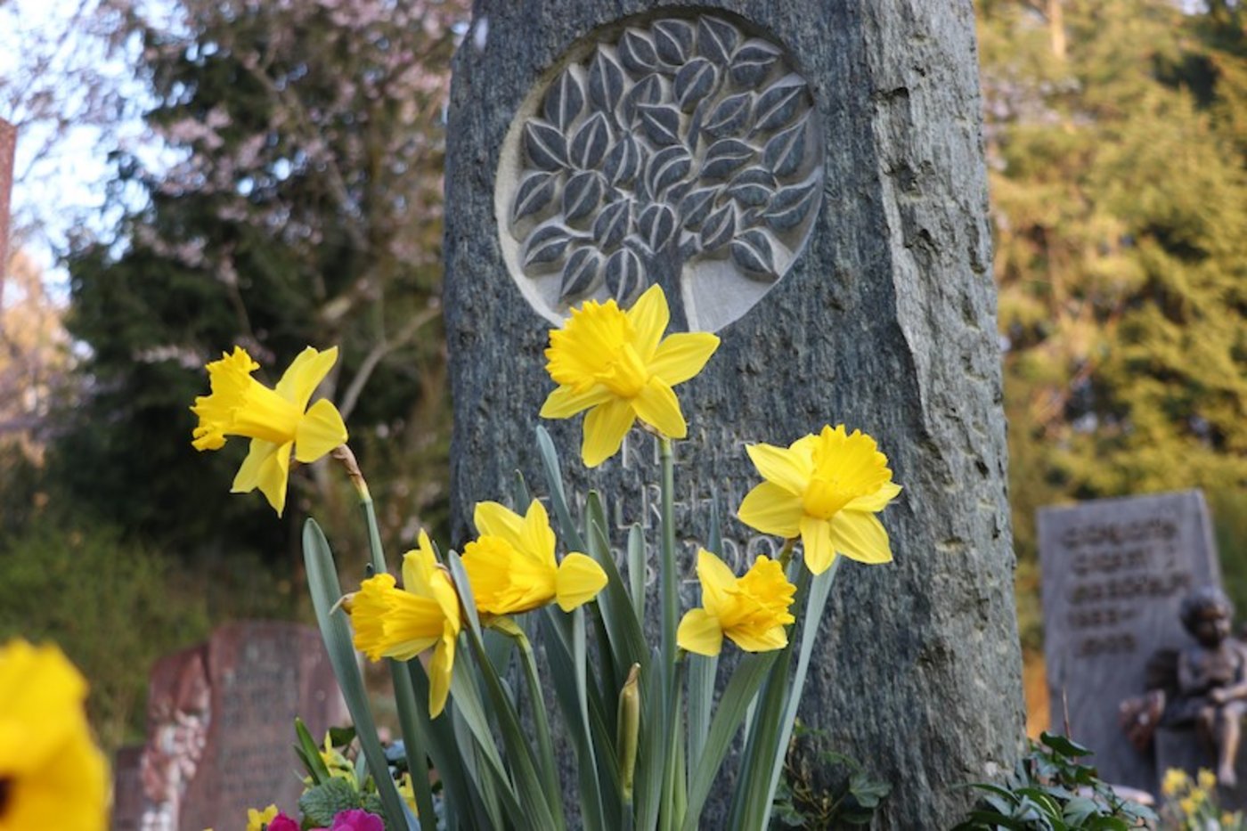 Die Revision des Erbrechts soll den Erblassern mehr Spielraum bei der Verteilung ihres Erbes geben. (Symbolbild rae)