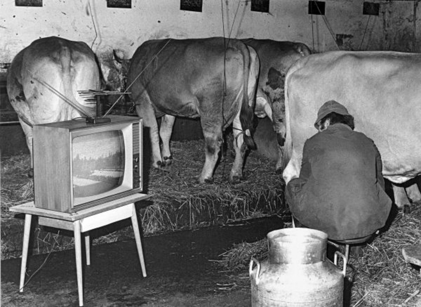 Ein Bauer, der bei der Winterolympiade anno 1980 im amerikanischen Lake Placid kein Skirennen verpassen wollte: Ein Ja zu No Billag würde nicht nur die Produktion von aufwendigen Sportsendungen gefährden. (Bild Keystone)