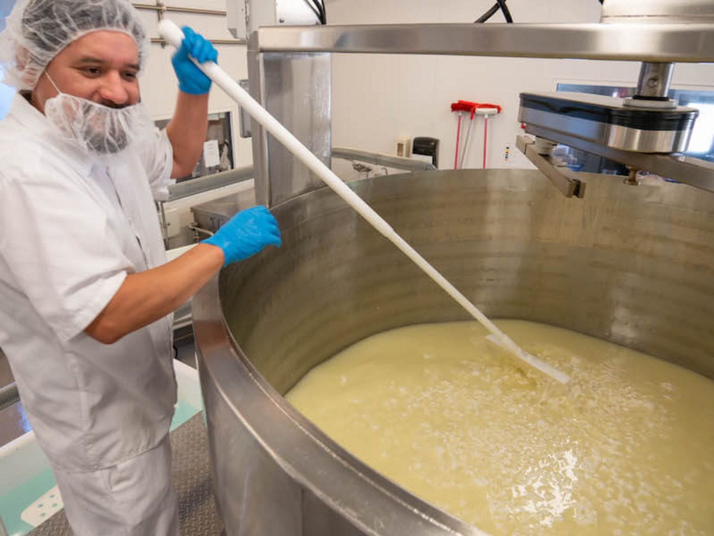 In Kalifornien ist es schwierig, Fachpersonal für Käsereien zu finden. (Bild lid)