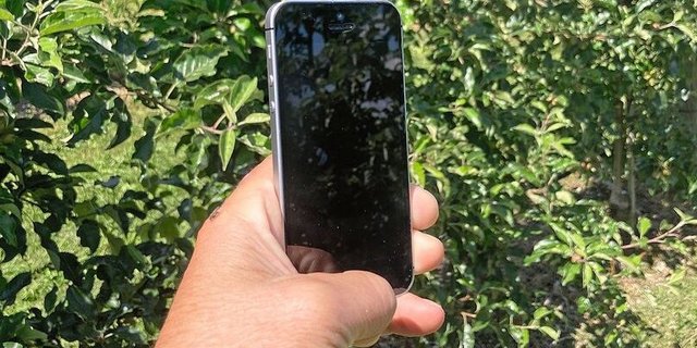 Mit App Obsternte schätzen.