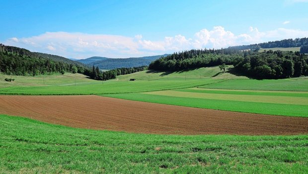 Für die Festlegung von Zuströmbereichen müssen die Wasserflüsse in der Landschaft nachvollzogen werden. Die offiziellen Grundlagen dafür sind veraltet und in Überarbeitung.