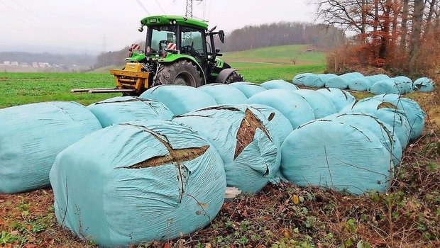 Die unbekannten Täte Die unbekannten Täter verursachten Ärger und Mehrarbeit. Die Grassilage wurde neu gewickelt. Dazu kommt die Sorge um die Silagequalität und ob die Täter erneut zuschlagen werden.