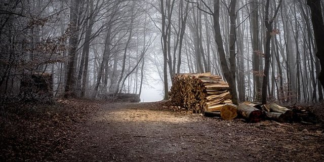 Der Mann verstarb während Holzarbeiten. (Symbolbild Pixabay)