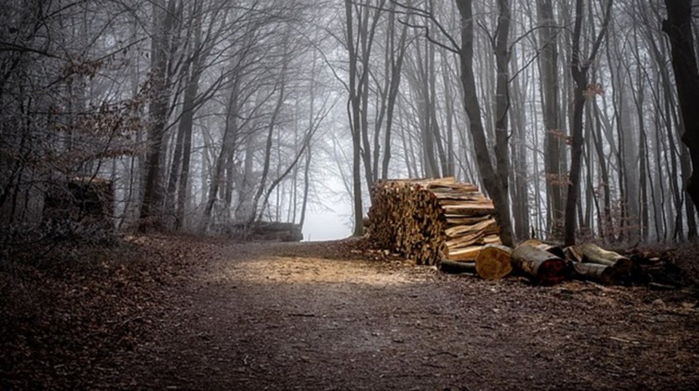 Der Mann verstarb während Holzarbeiten. (Symbolbild Pixabay)