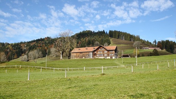 Der eigene Bauernhof, davon träumen viele, die keinen in den Familie haben. (Symbolbild Pixabay)