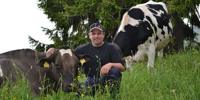 Hofft, dass sein Betrieb demnächst wieder BVD-frei ist: Daniel Zbinden aus Zumholz FR. (Bild Julia Schwery)