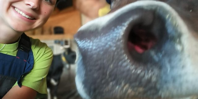 Hélène Vallotton absolviert ihr zweites Lehrjahr zur Landwirtin EFZ auf dem Milchwirtschaftsbetrieb in Moiry. (Bild H. Vallotton) 