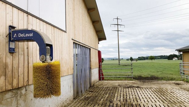 Betrieb Obermoos, Wauwil LU: Tagsüber steht das Tor im Laufhof in Richtung Weide stets offen. 