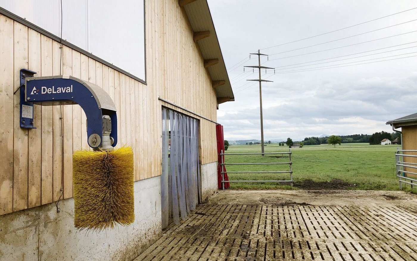 Betrieb Obermoos, Wauwil LU: Tagsüber steht das Tor im Laufhof in Richtung Weide stets offen. 
