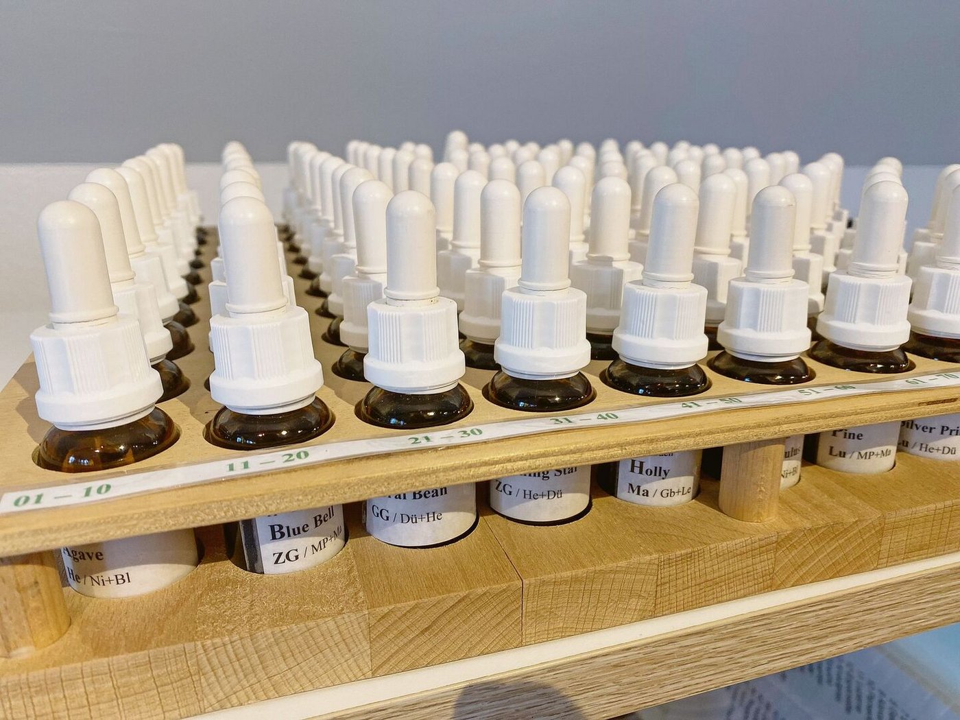 Auch die Bachblütentropfen kommen in der Therapie zum Einsatz: 2010 absolvierte Priska von Ballmoos die Ausbildung zur Bachblütentherapeutin. 