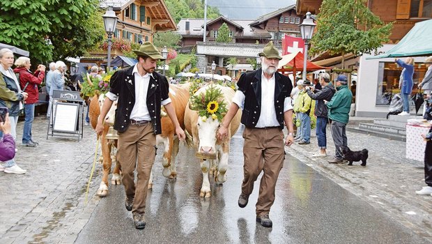 Hier trifft die Fami Hier trifft die Familie Ernst Reichenbach mit ihren Kühen in Gstaad ein. Während elf Wochen waren sie auf der Alp Satteleggli auf 1650 m ü. M.