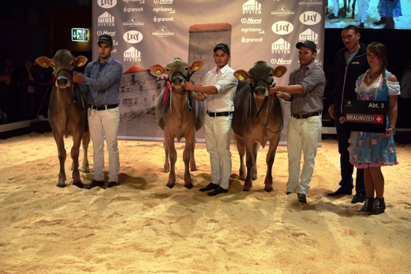 Siegertiere Abteilung 3 (v.r.): 1. Pamy-Lou; 2. Kayla; 3. Jane.