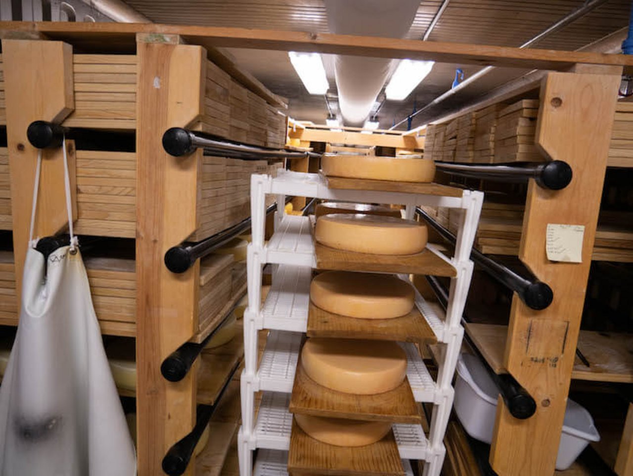 Nicht möglich ist die Produktion von Rohmilch-Käse, die Vorschriften in den USA sind zu streng. (Bild lid)