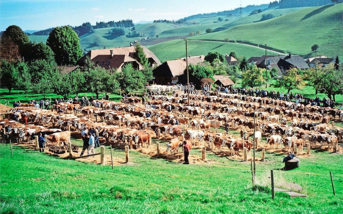 Im Jahr 2001 konnte die VZG Landiswil ihr 50-Jahr-Jubiläum feiern. Mit dabei die Familie Bürki.