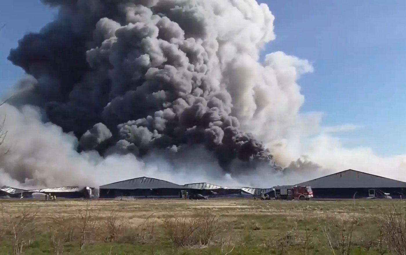 Der verheerende Brand in der Grossanlage mit 7000 Sauen und 50'000 Ferkeln in Alt-Tellin. (Bild Screenshot Nordkurier)