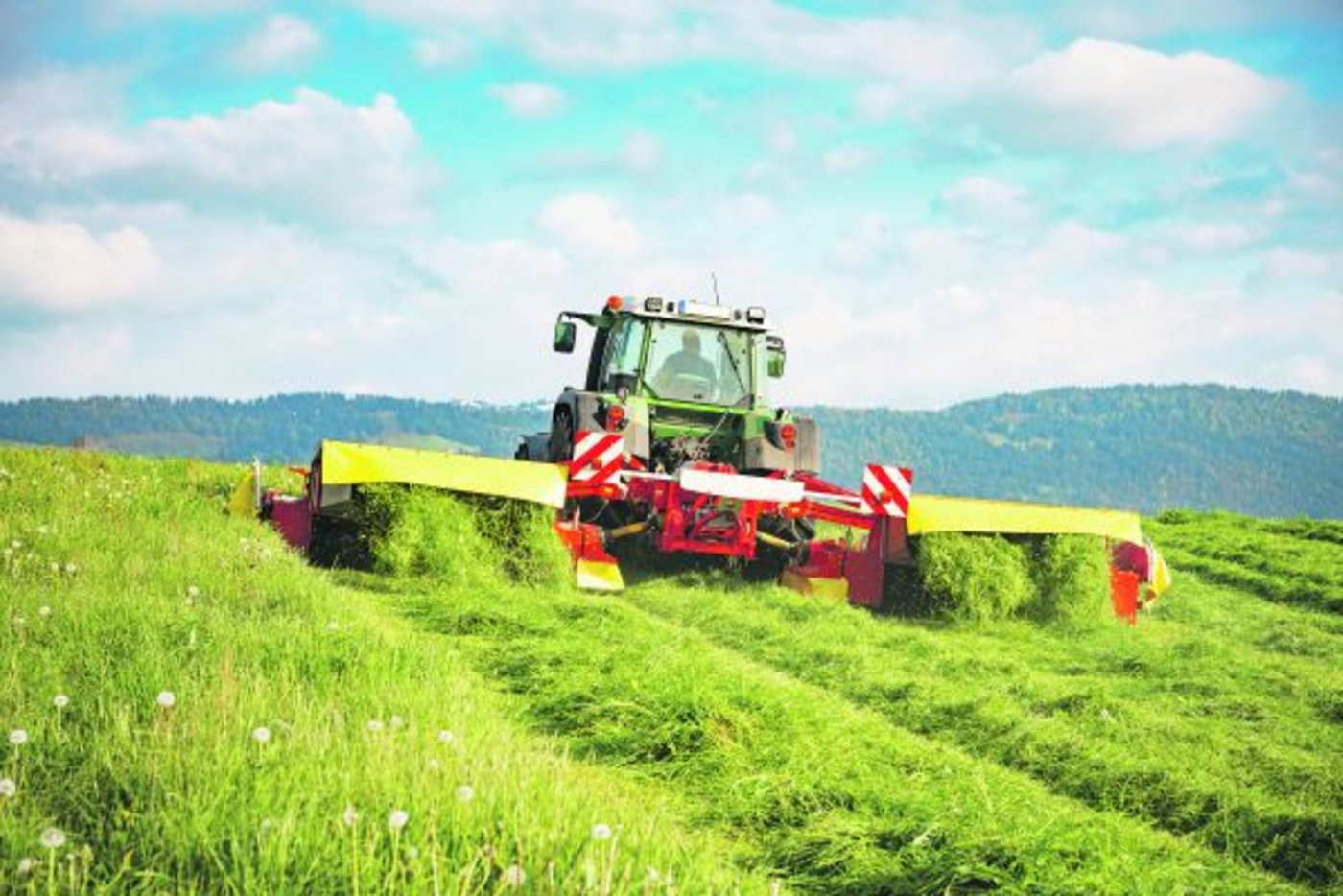 Für eine erfolgreiche Futterzubereitung und Ernte ist auch der Pflanzenbestand von Bedeutung. (Bild Fotolia)