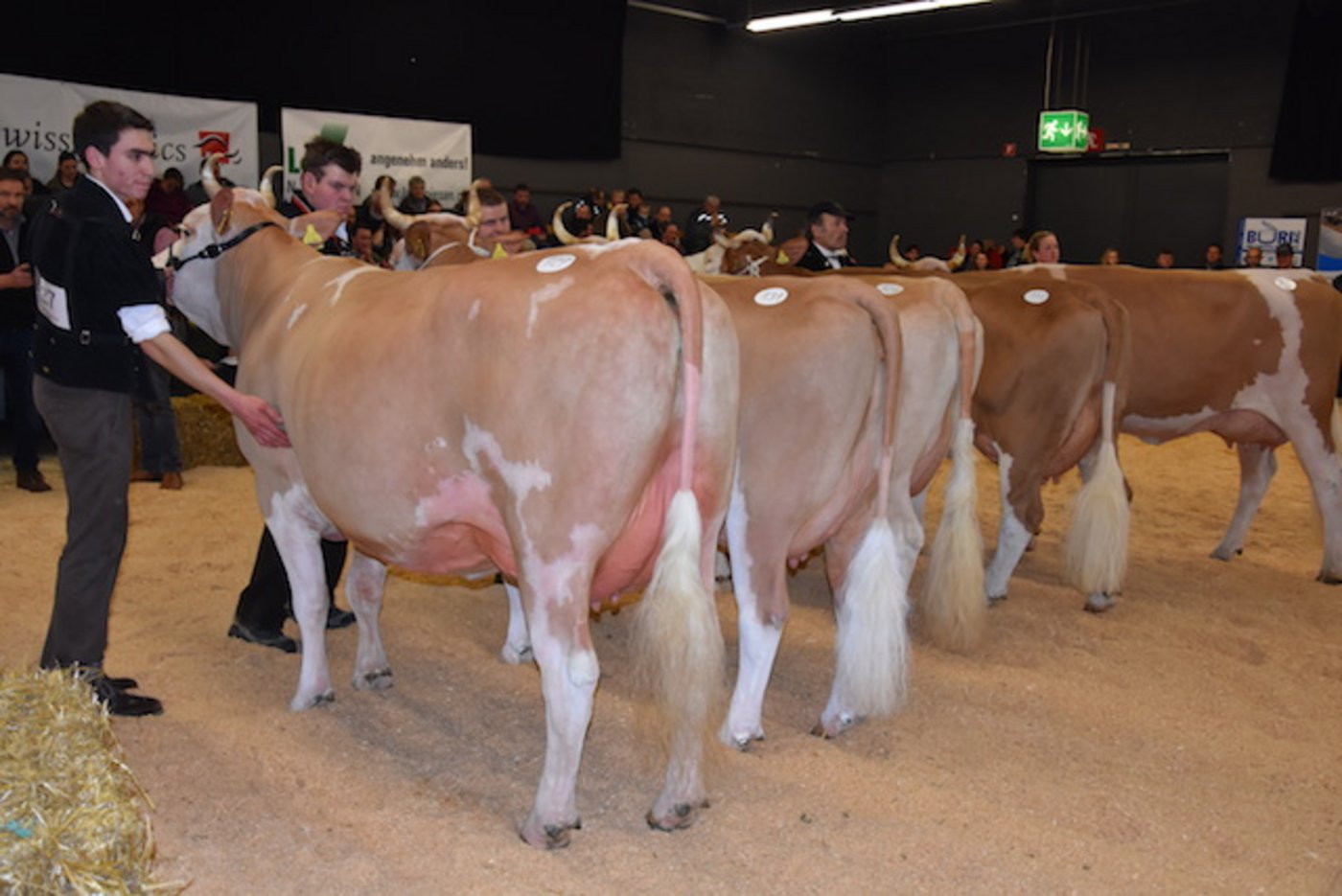 Sie gewann ihre Kategorie: Tur-Bach Fabbio Baroness von Ueli Bach, Turbach BE.