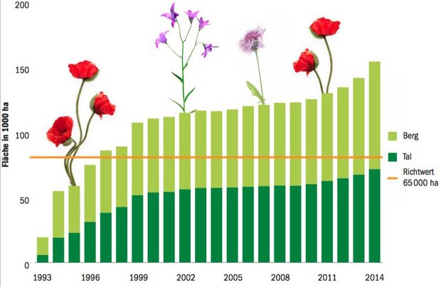 Bei den Biodiversitätsförderflächen liegt die Schweizer Landwirtschaft weit über den Umweltzielen des Bundes. (Daten SBV/Grafik Thomas Bernard)