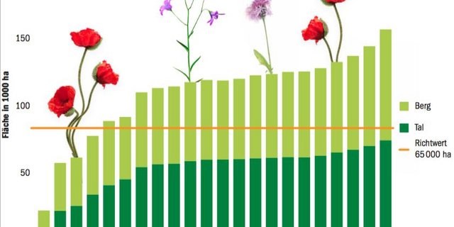 Bei den Biodiversitätsförderflächen liegt die Schweizer Landwirtschaft weit über den Umweltzielen des Bundes. (Daten SBV/Grafik Thomas Bernard)