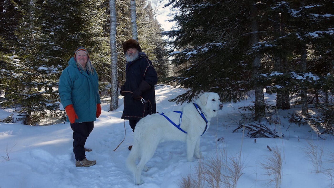 Thomas Horat zeigt auch, wie im Ausland mit Wölfen umgegangen wird. Hier Bert und Johnnie Hyde in Minnesota. 