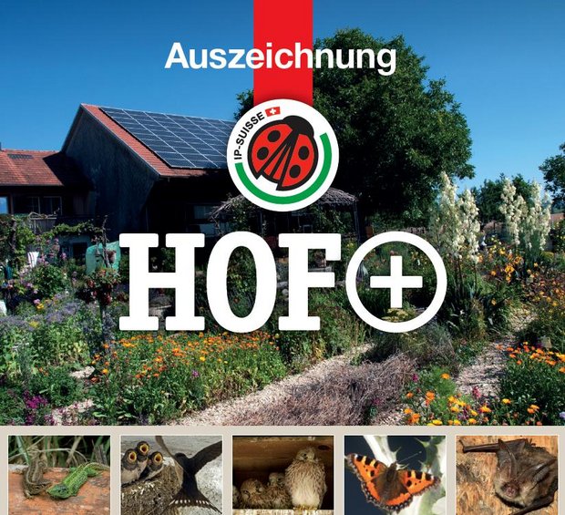 Mit dem ergänzenden Modul «Hof+» soll das Hofgelände mit seiner Vielfältigkeit und seinem Artenreichtum zur Visitenkarte für einen Landwirtschaftsbetrieb werden und viele Konsumenten und Konsumentinnen ansprechen. (Bild IP-Suisse)