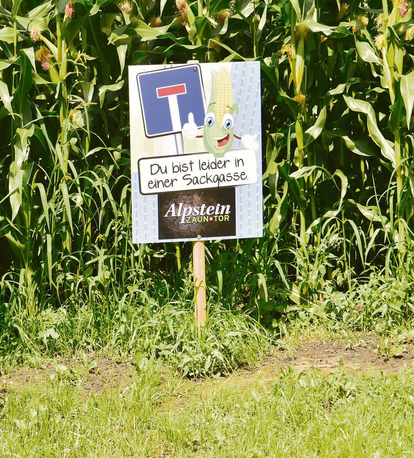 Sackgasse inbegriffen: Hier führt nicht jeder Weg zum Ziel.