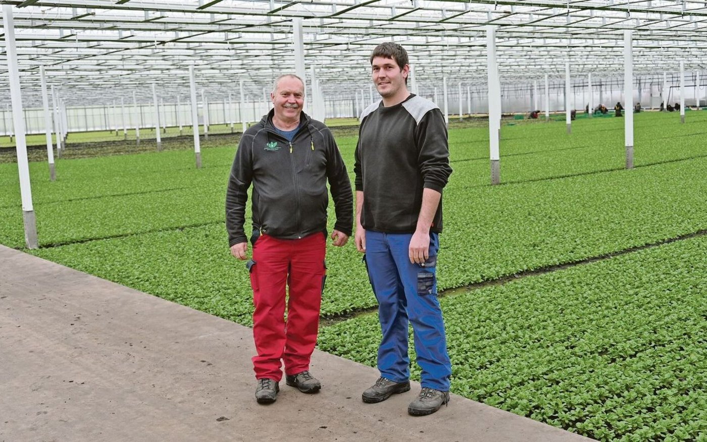 Die Betriebsleiter haben die Zuständigkeiten untereinander aufgeteilt. So ist Thomas Wyssa (links) für die Bodenbearbeitung und den Pflanzenschutz, Sohn Christoph (rechts) für die Mitarbeitenden und die Hallen, in denen etwa gerade Nüssler wächst, verantwortlich. 