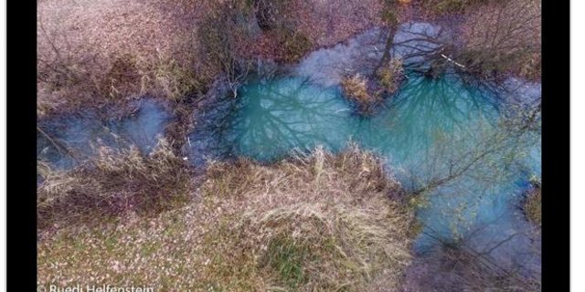 Auf den Seiten des Förndlibaches ist eine schützenswerte Wiese dauerhaft überschwemmt.  (Bild Screenshot «20 Minuten»)