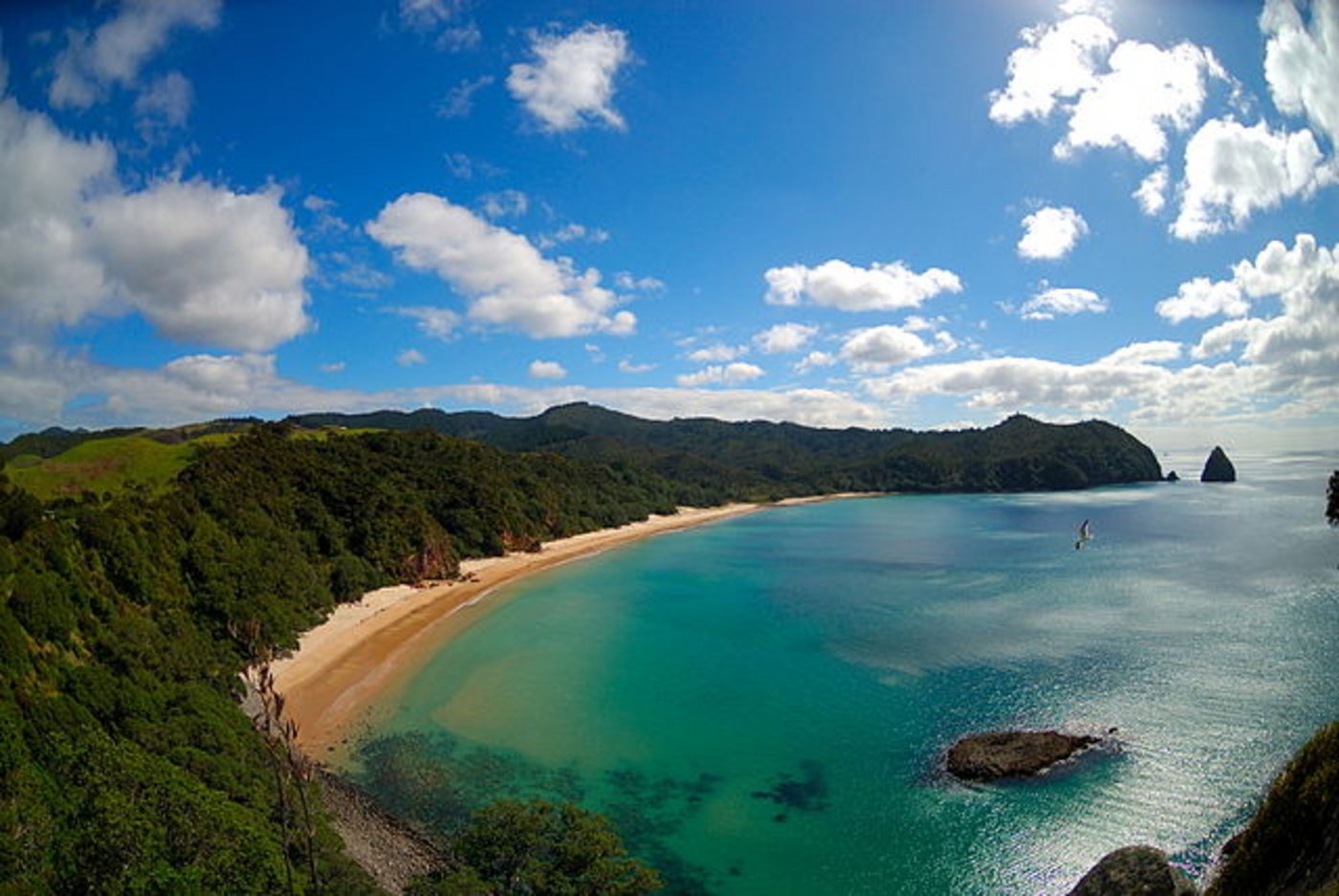 Der wunderschöne New Chums Beach in Neuseeland ist nur zu Fuss erreichbar. (Bild Piotr Zurek)