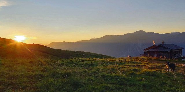 Stimmungsvoller Moment auf der Alp Oberst in Schams.                   