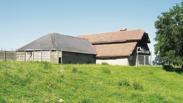 Der alte Stall soll Der alte Stall soll einem Neubau weichen und zu einem Referenzbetrieb betreffend Biomilch werden.