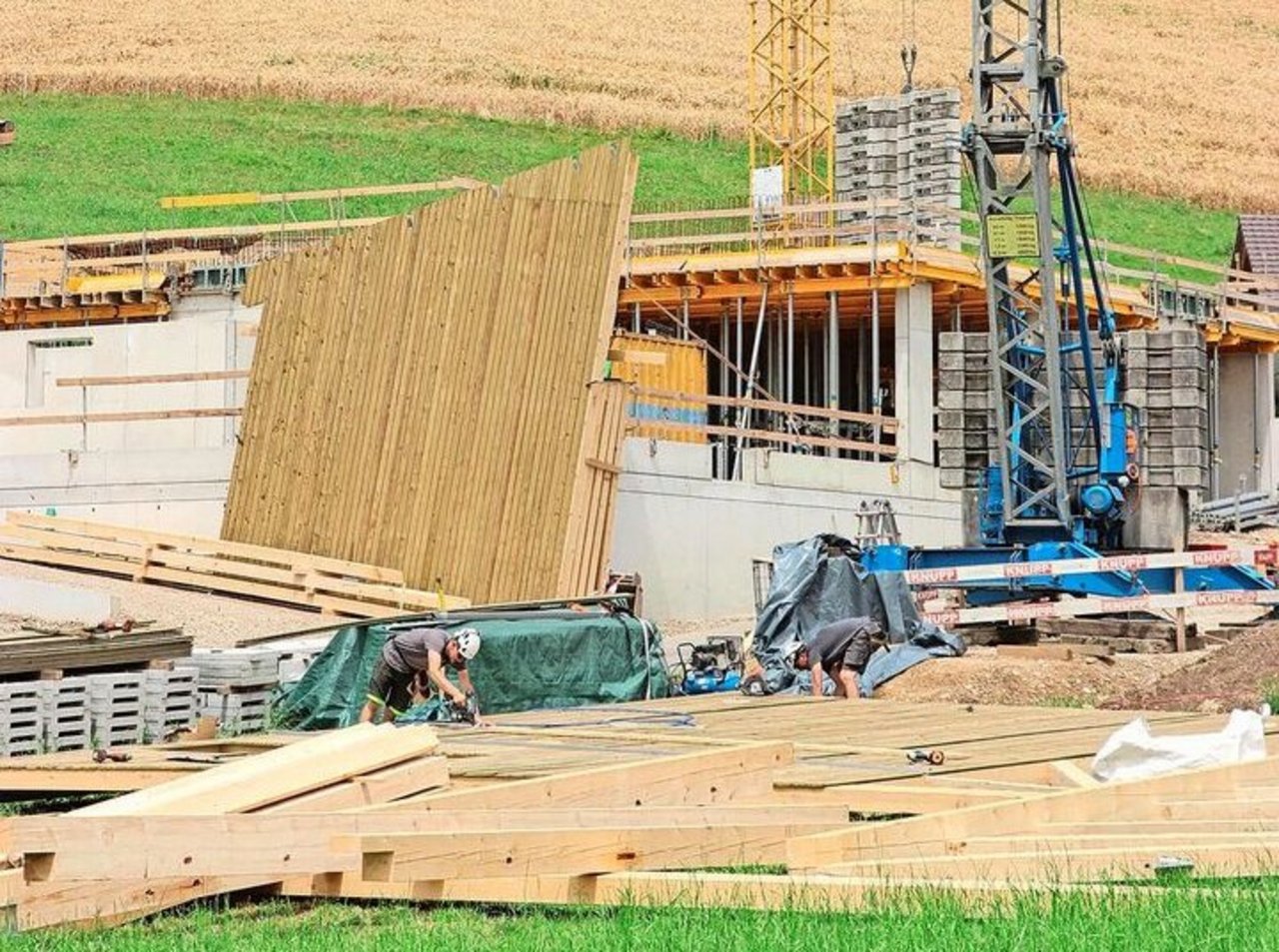 Verbaute FFF müssen kompensiert werden.