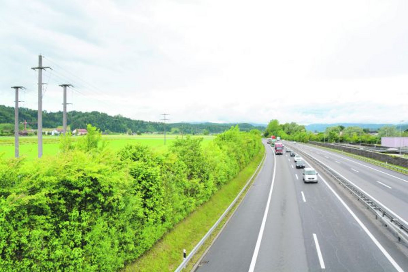 Im Kanton Luzern sind drei Wildtierkorridore bei der A2 geplant, so auch zwischen Dagmersellen und Reiden. Dabei gehe auch Kulturland verloren, kritisieren betroffene Landbewirtschafter. (Bild Andrea Gysin)